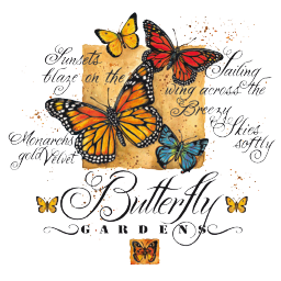 36289 - Motýlci s nápisem Butterfly