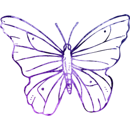 Motýlek 7